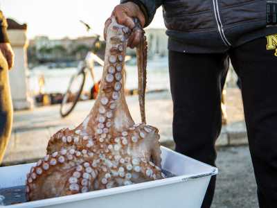 Ad accoglierci � un signore con un fantastico polpo da cinque chili